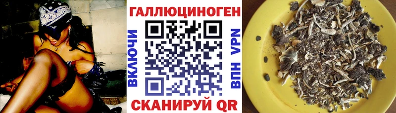 где купить наркотик  Абаза  маркетплейс Telegram  Галлюциногенные грибы MAGIC MUSHROOMS 